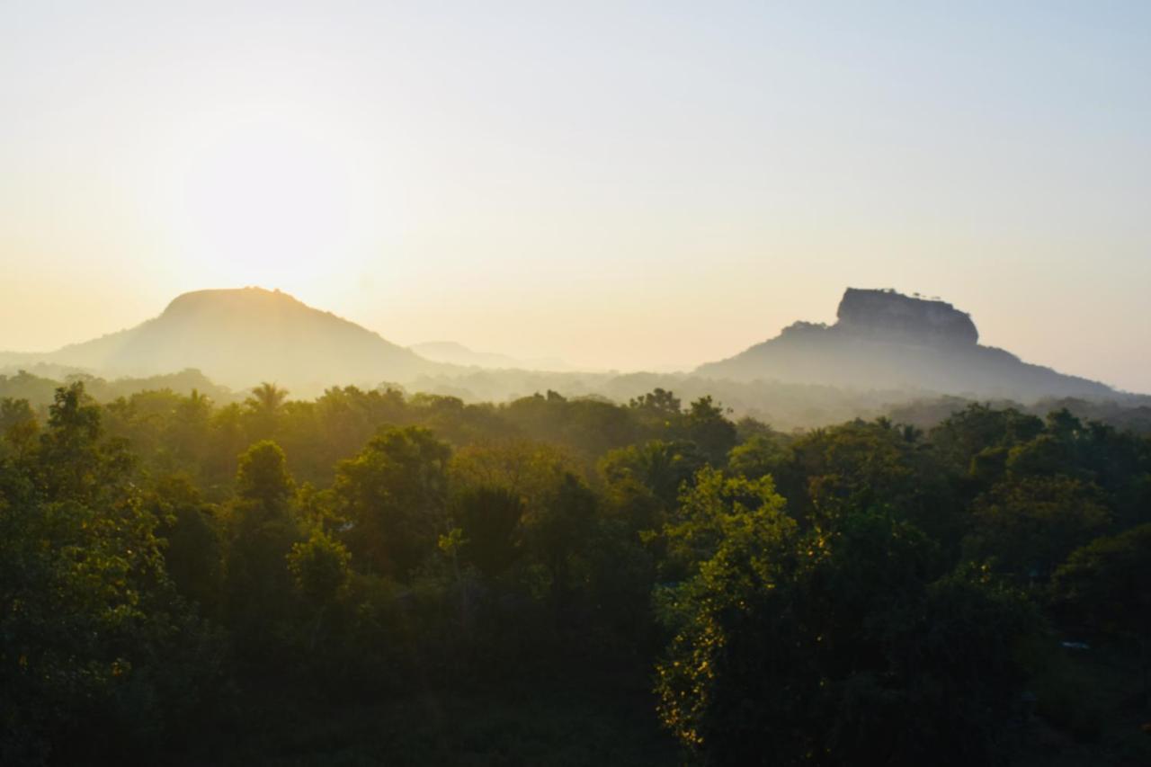 Green Hut Nature Resort Sigiriya Eksteriør billede