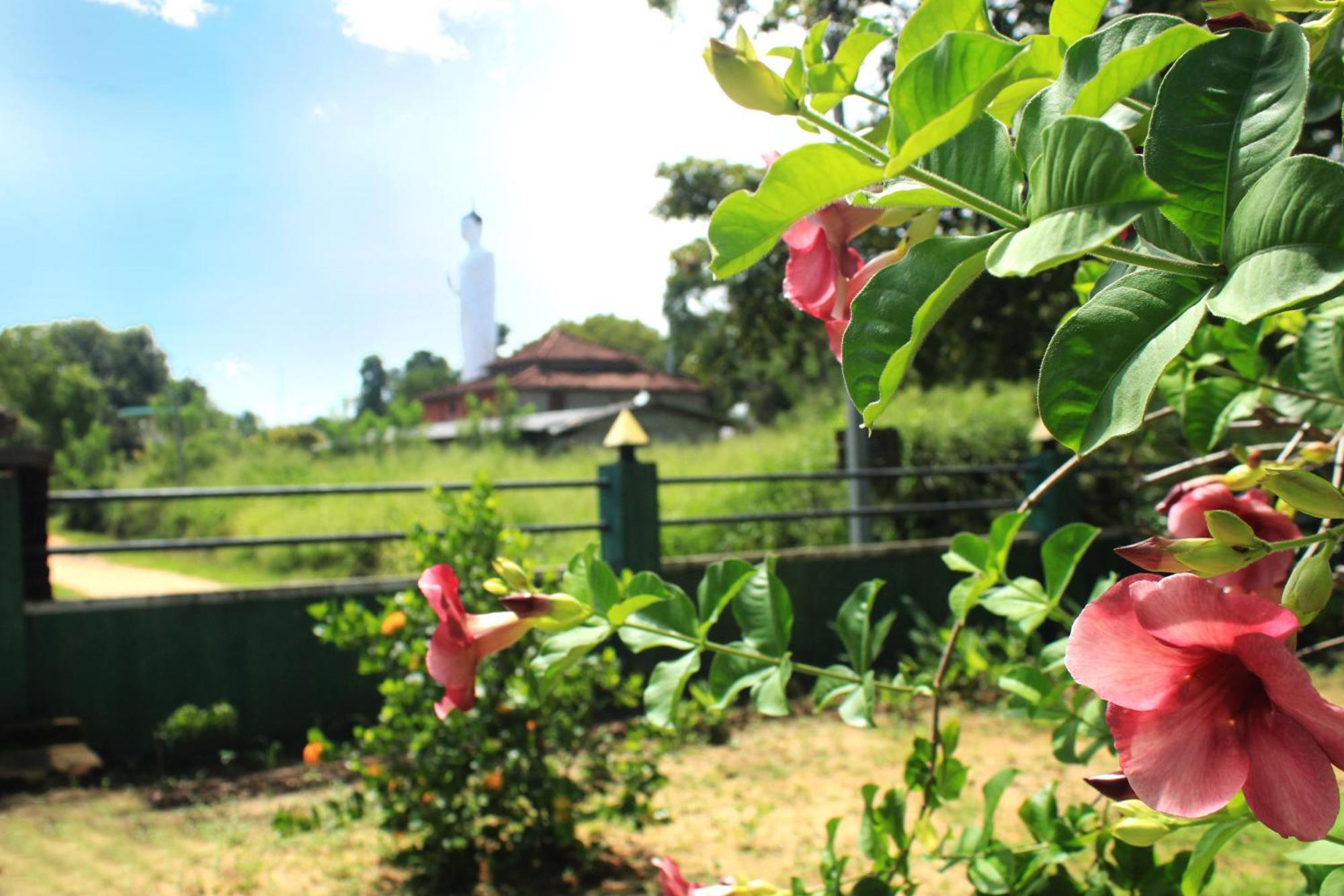 Green Hut Nature Resort Sigiriya Eksteriør billede