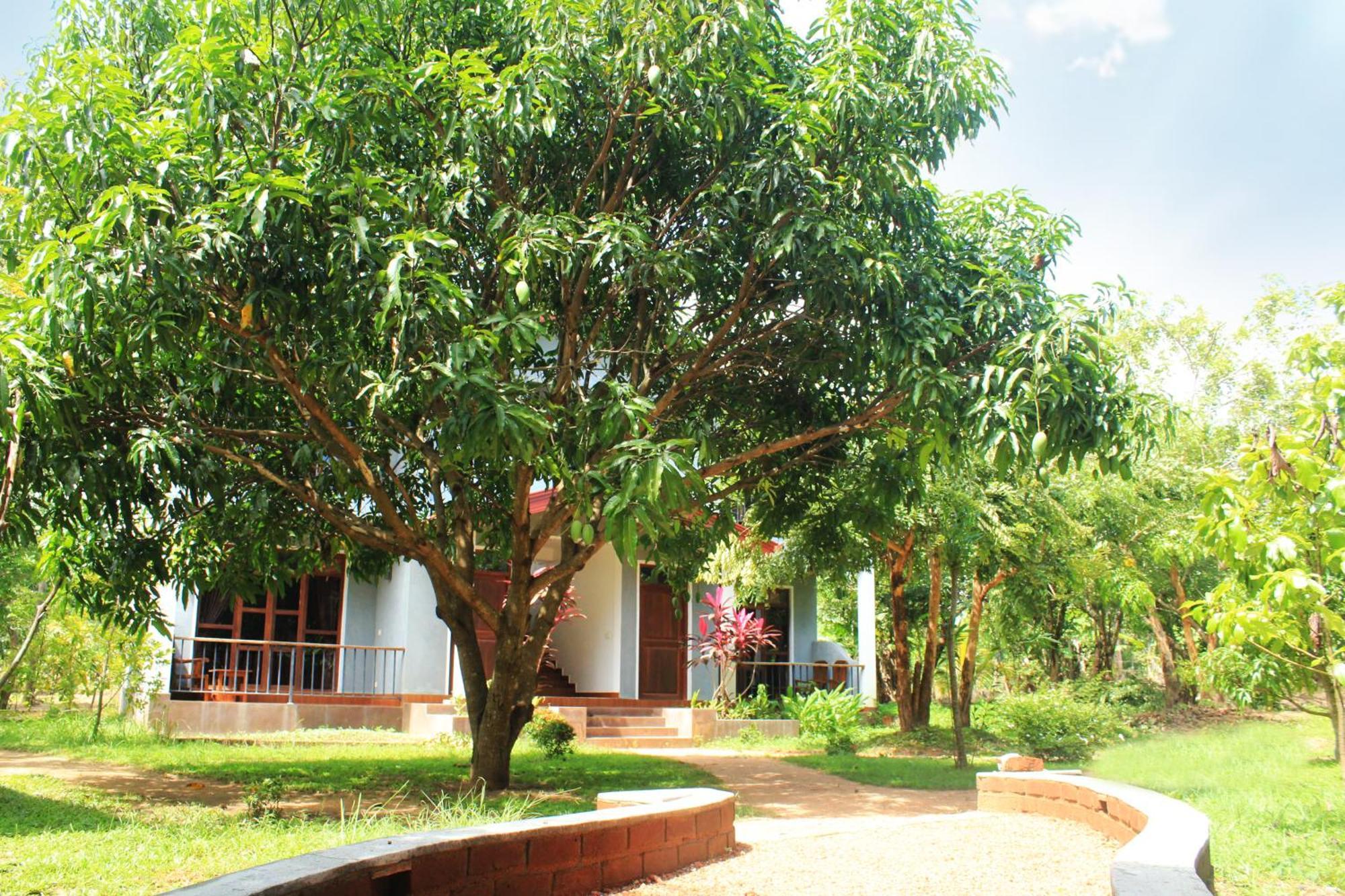 Green Hut Nature Resort Sigiriya Eksteriør billede